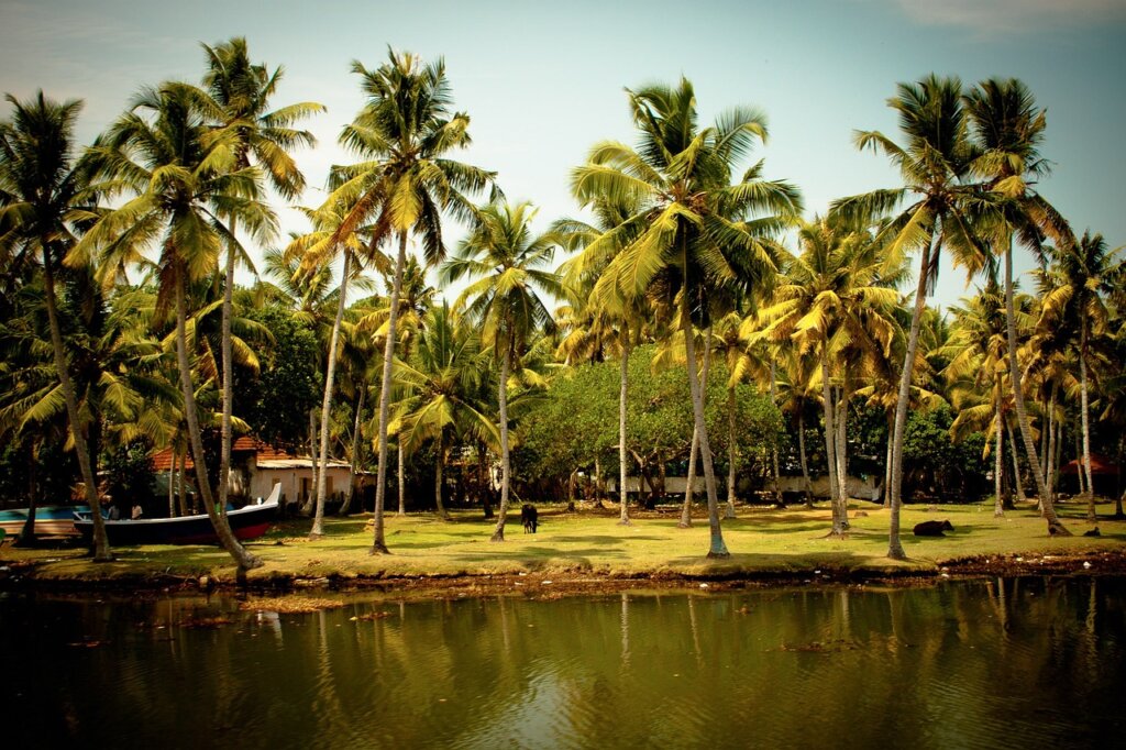 South India Backwaters