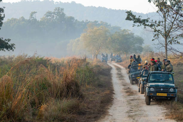 Jim Corbett Safari