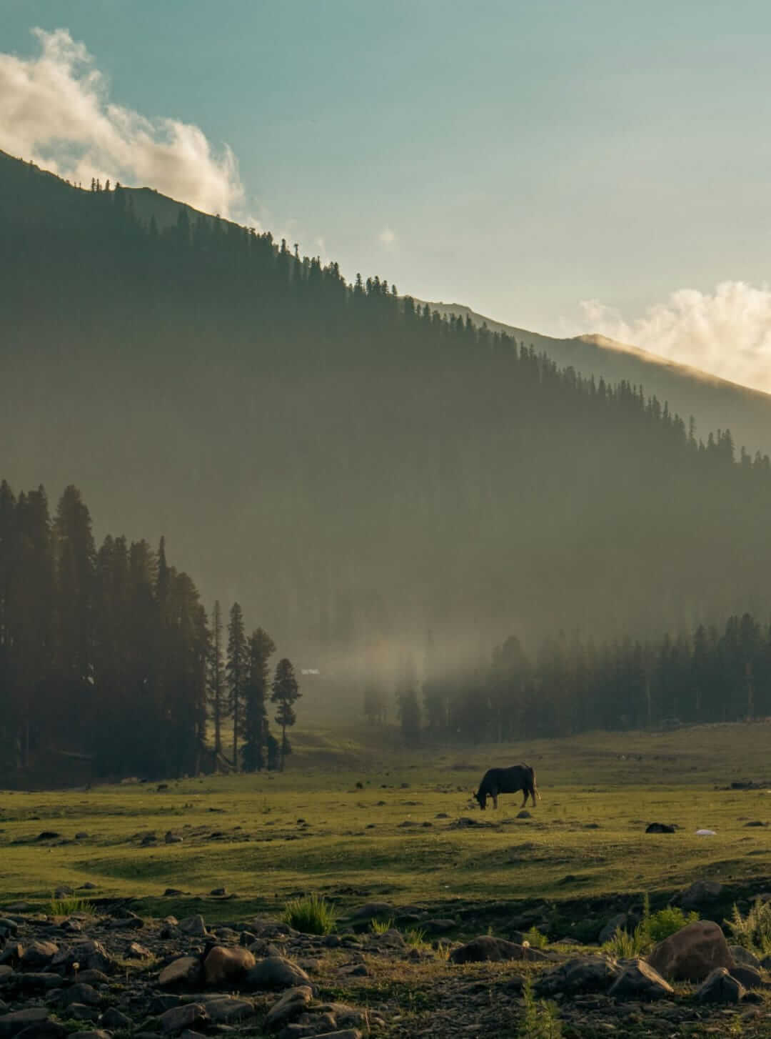 Kashmir Jewels