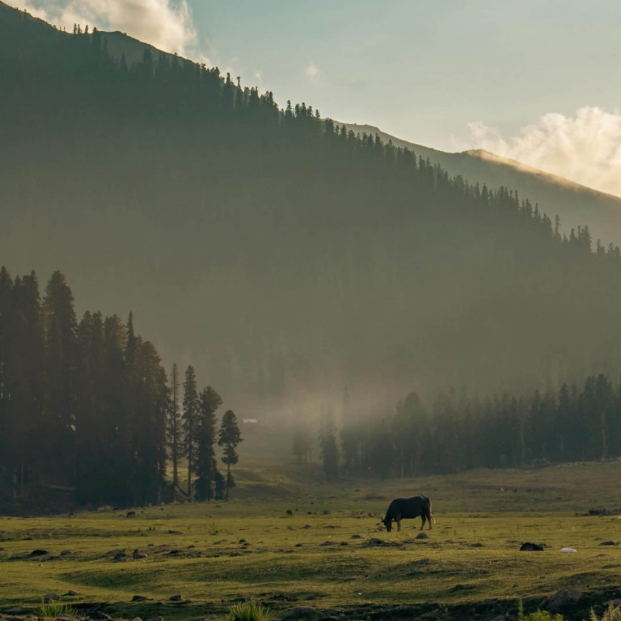 Kashmir Jewels