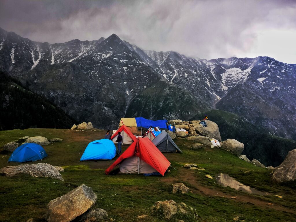 Dalhousie5.jpg
