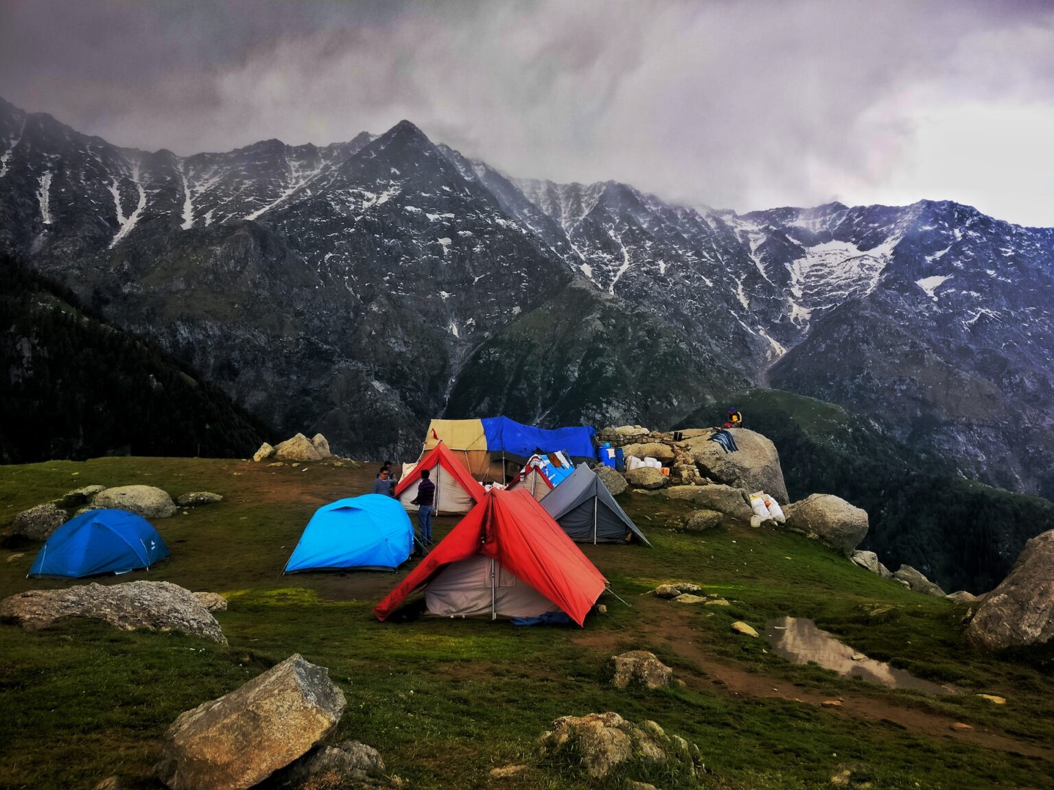 Dalhousie5.jpg