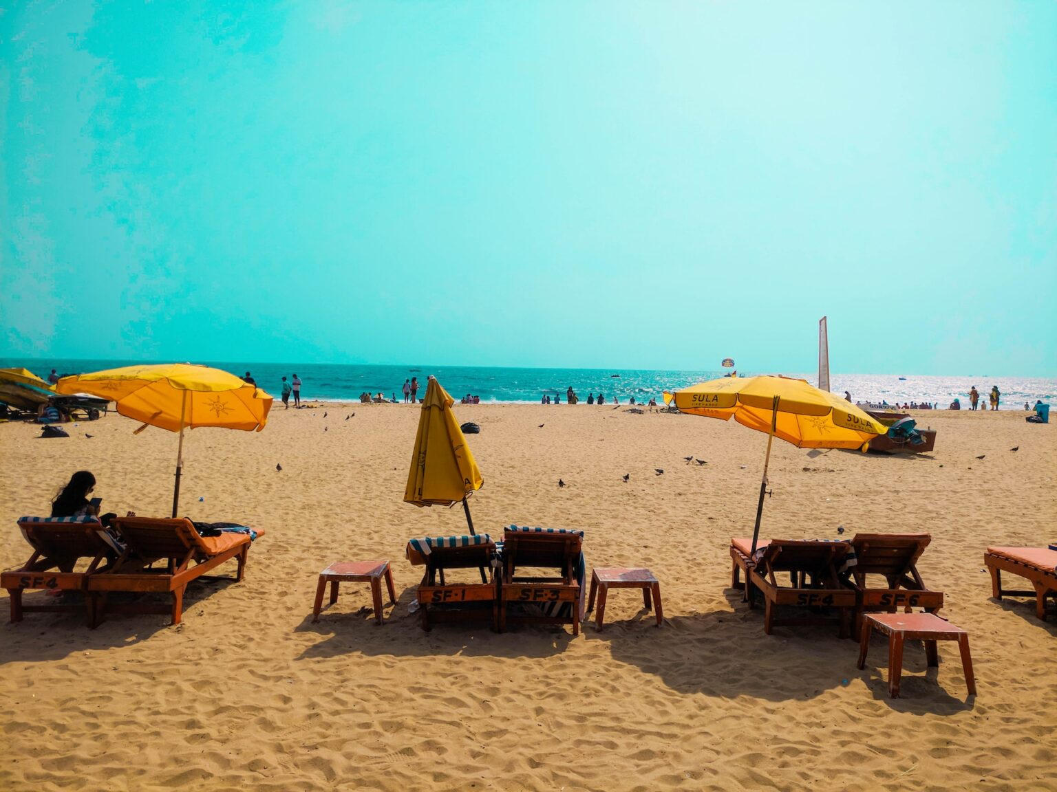 GOA2.jpg