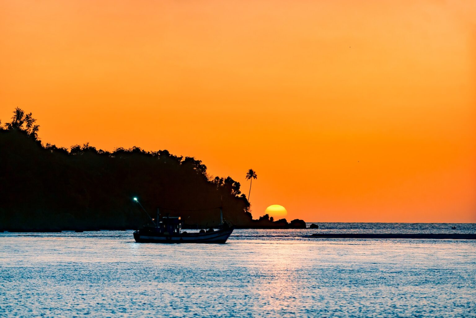 GOA4.jpg