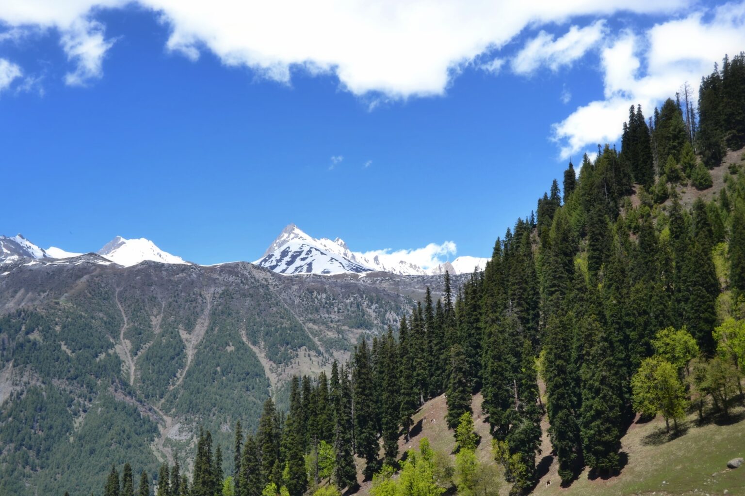 Kashmir3.jpg