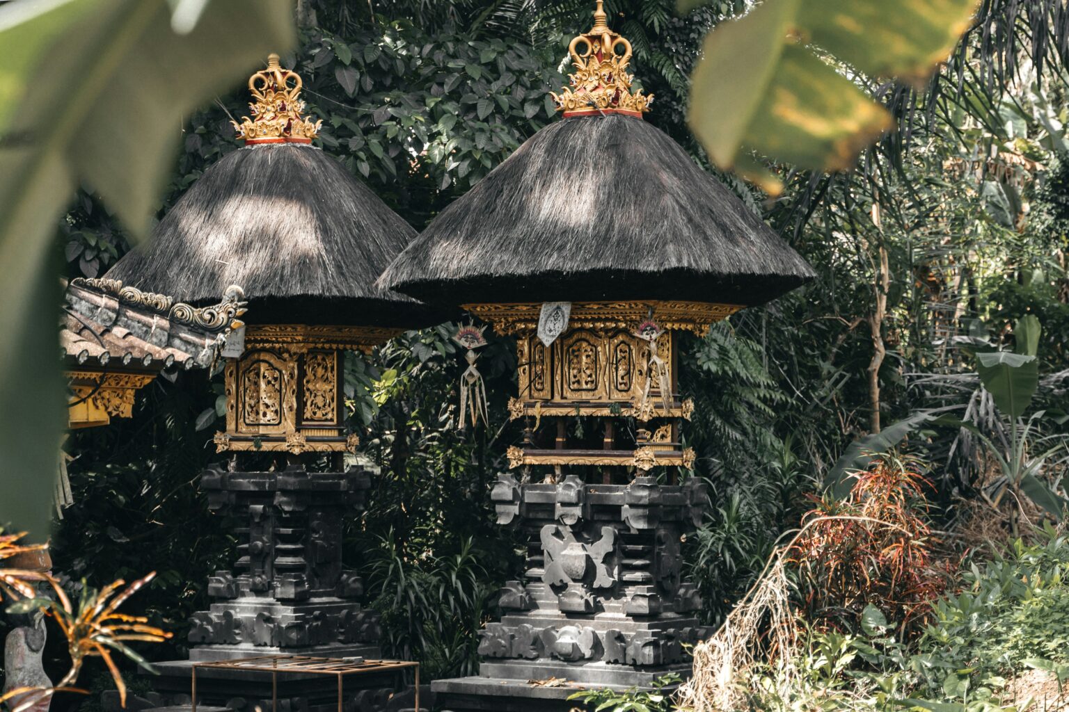 polina-kuzovkova-VdoE0Ep9kaM-unsplash